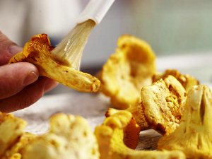 Чтобы приготовить лисички в сметане моем их и нарезаем