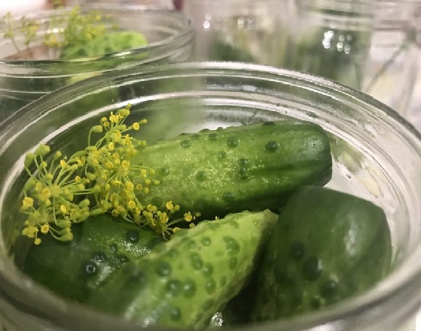 Рецепт маринованных огурцов с семенами горчицы
