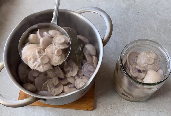 Мариновать грибы рецепт на зиму с уксусом