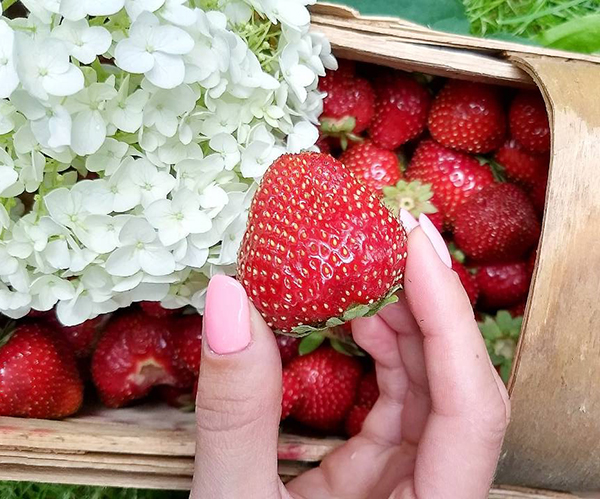 Ванильно клубничное мороженое