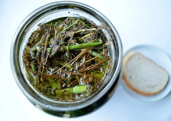 Рецепт вкусных малосольных огурчиков