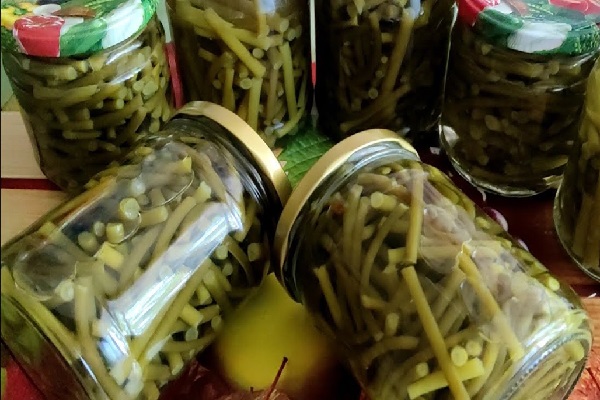 Маринованные чесночные стрелки на зиму