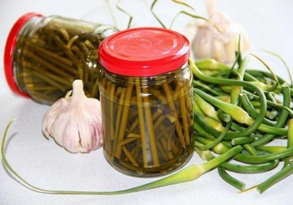 Рецепт чесночных стрелок на зиму